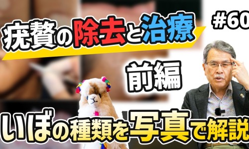 圣女果的功效与作用和西红柿一样吗-圣女果营养高些还是西红柿网 | 圣女果的功效与作用和西红柿一样吗,圣女果和普通番茄哪个营养高